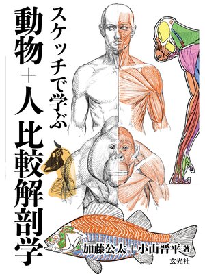 cover image of スケッチで学ぶ 動物+人比較解剖学